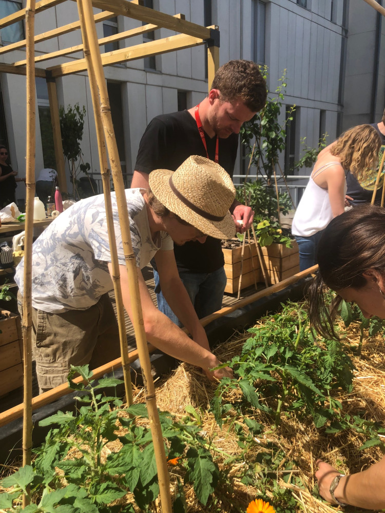 Louis Gavériaux finalisant l'aménagement en permaculture de la terrasse de l'ISA