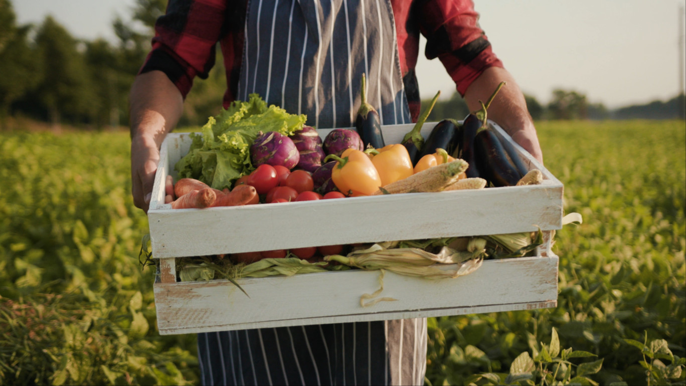 Aujourd’hui, 51% des Français fréquentent les marchés, contre 43% avant la pandémie. (c)AdobeStock