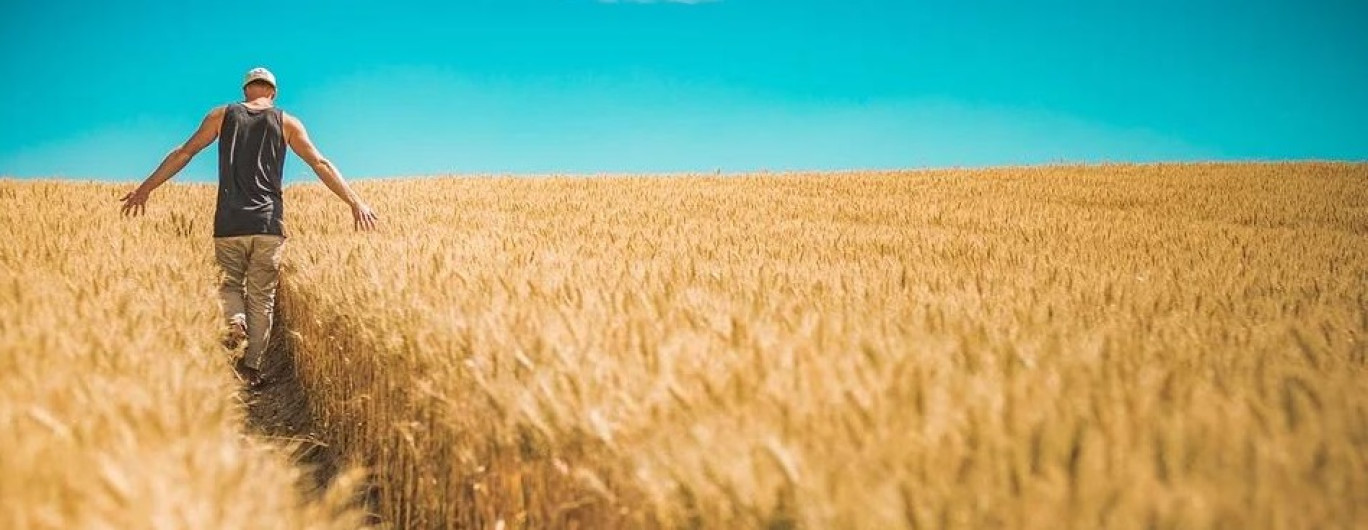 Vers la naissance d’un géant international agroalimentaire made in Grand Est ! 