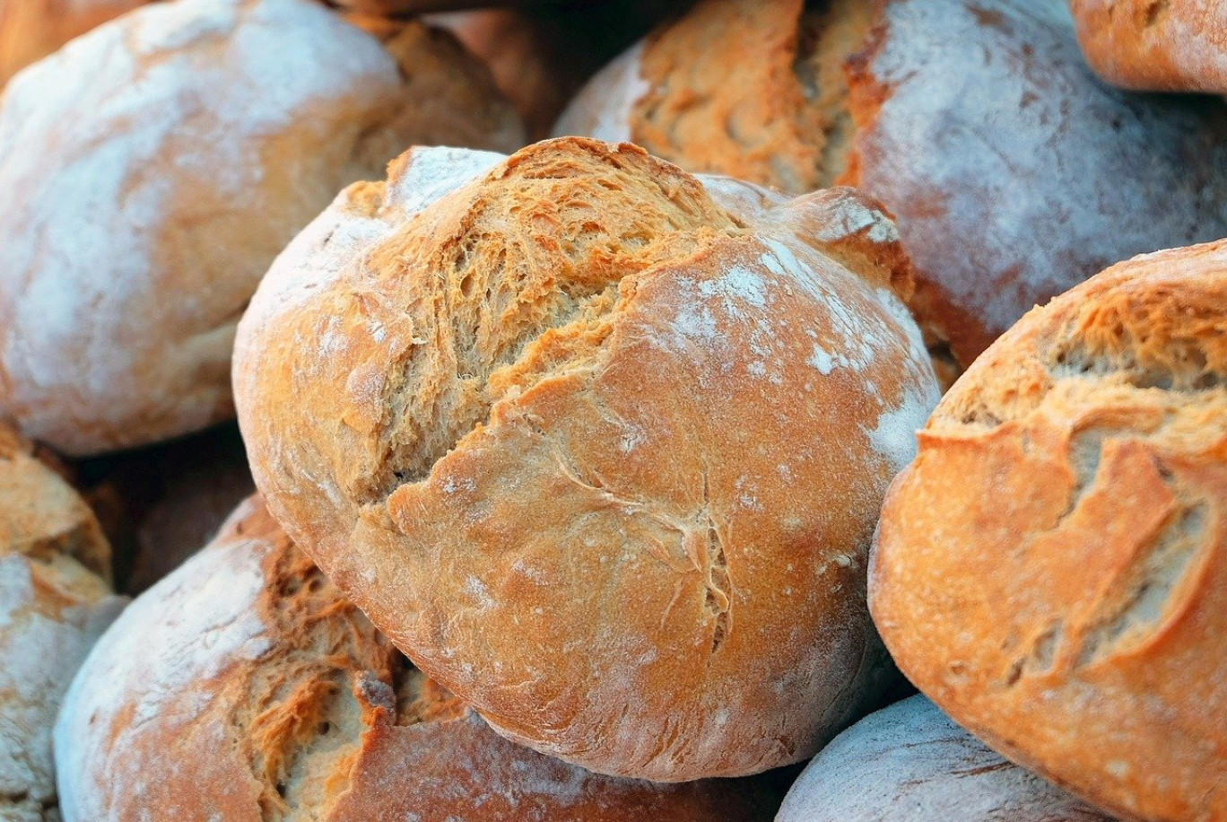 Le palet vert : une boulangerie 100 % bio