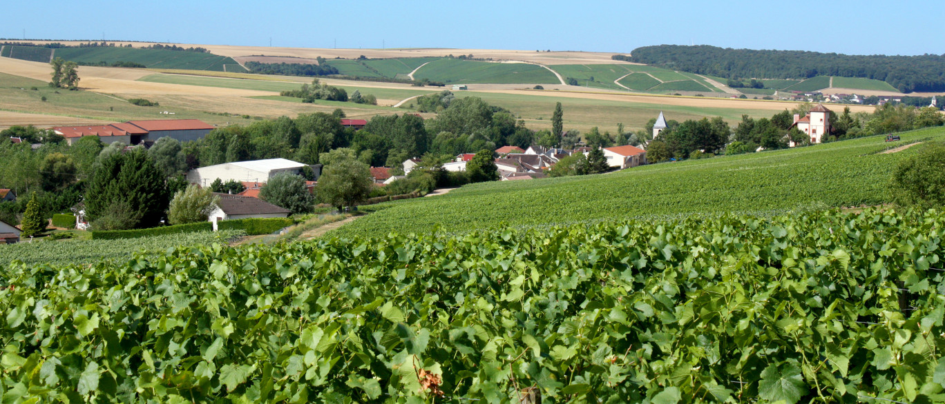 Le Domaine de Montgrignon poursuit son développement