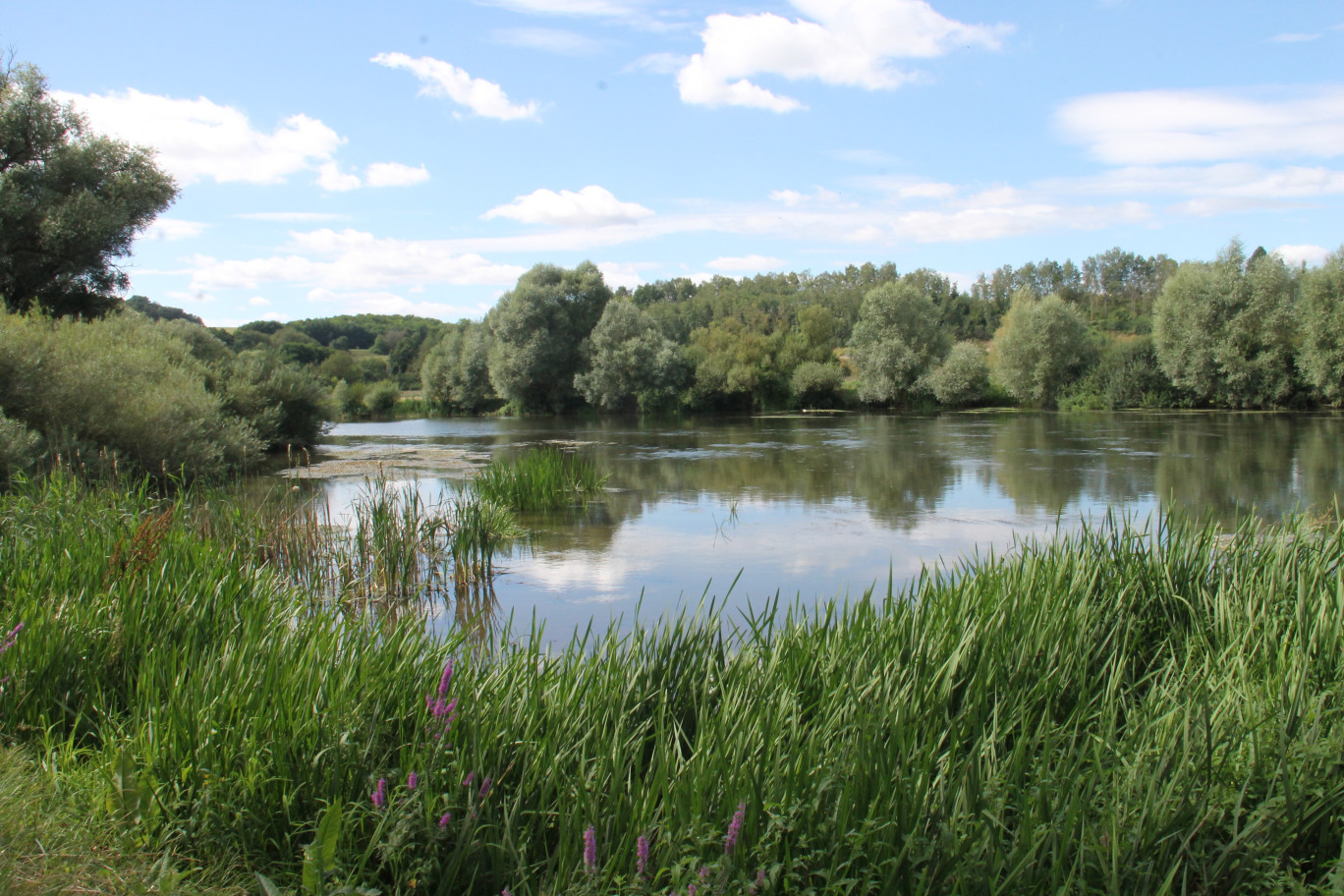 Agence de l'Eau Rhin-Meuse : premier contrat de territoire «Eau et Climat» dans le département