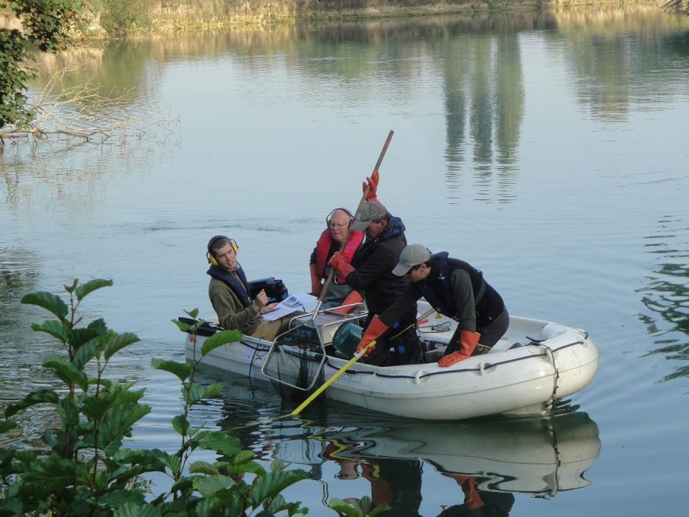 La méthode non létale de la pêche électrique est parfaite pour réaliser les inventaires piscicoles.  