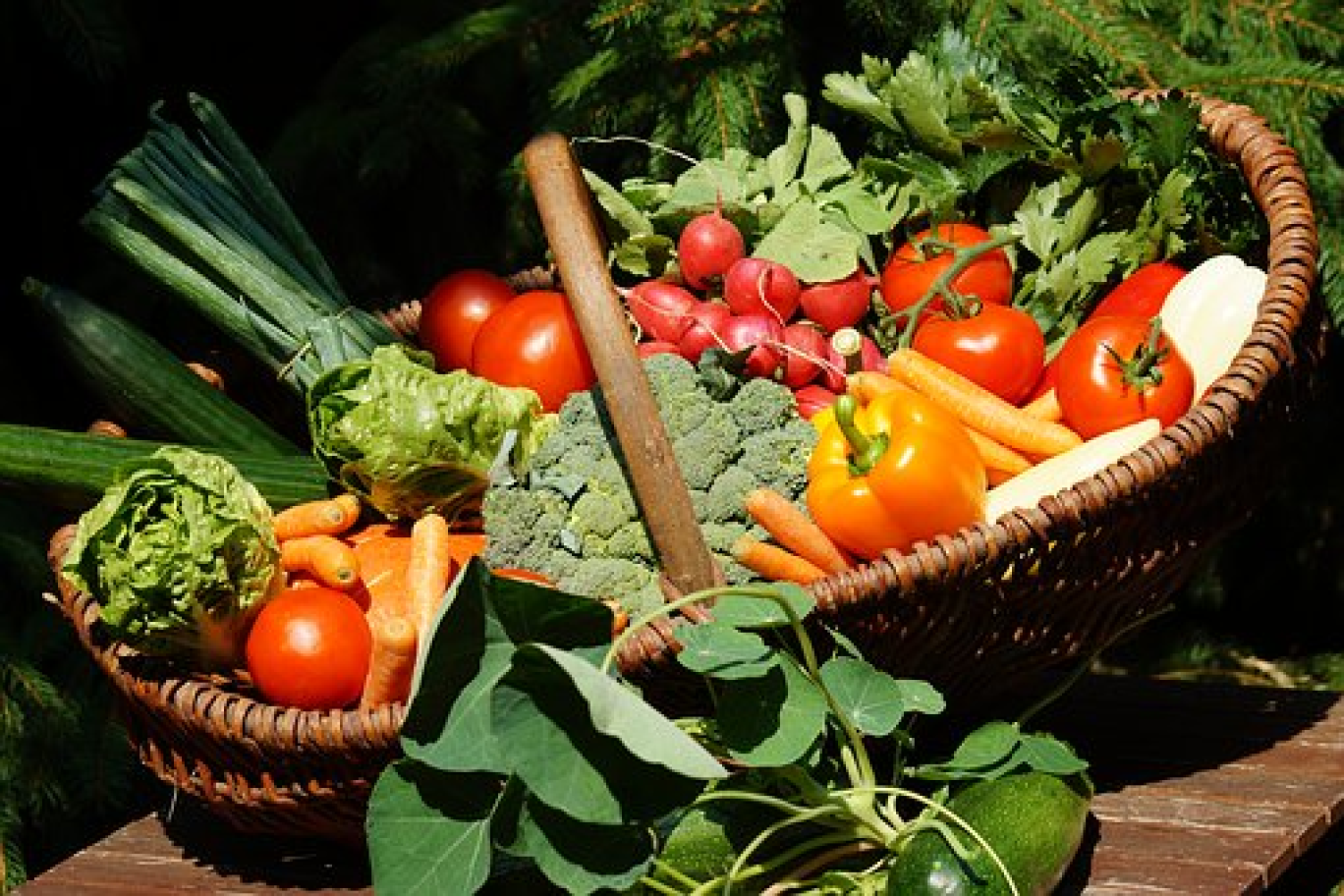 L’AMAP La Cascade : reprise de la distribution des paniers de produits bio