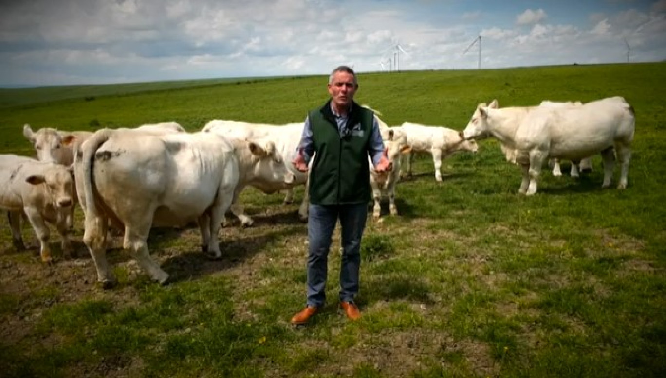 Un extrait de la vidéo tournée à la ferme Zellen à Petit-Tenquin. (c) : Chambre d'agriculture de la Moselle.