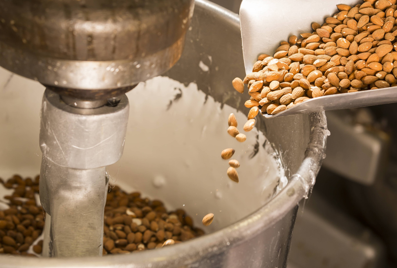 La Confiserie du Pré Catelan utilise des amandes naturelles pour la fabrication de son nougat.