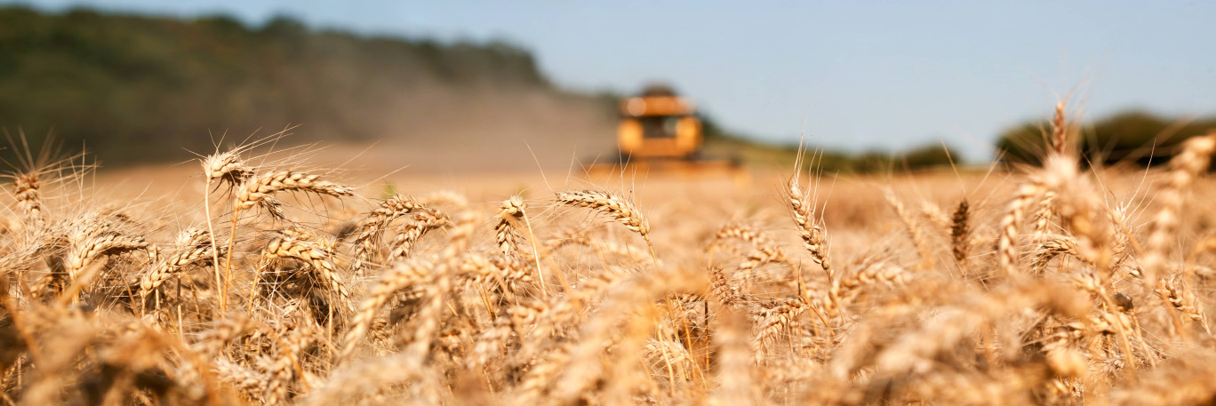 1 566 dossiers de demande d’aide ont été déposés par les agriculteurs de la région. Crédit photo Adobe Stock