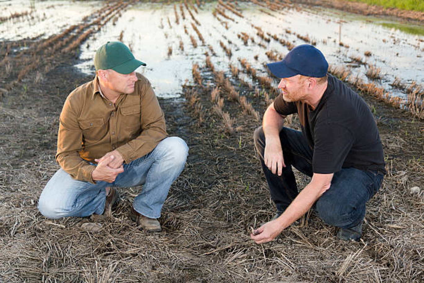 Calamités agricoles suite aux inondations : signalez dès maintenant vos dégâts