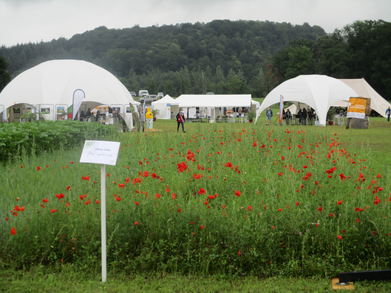 Les visiteurs ont pu découvrir deux hectares de démonstration, 150  vitrines végétales,  ainsi  qu’un  village rassemblant 85 exposants.