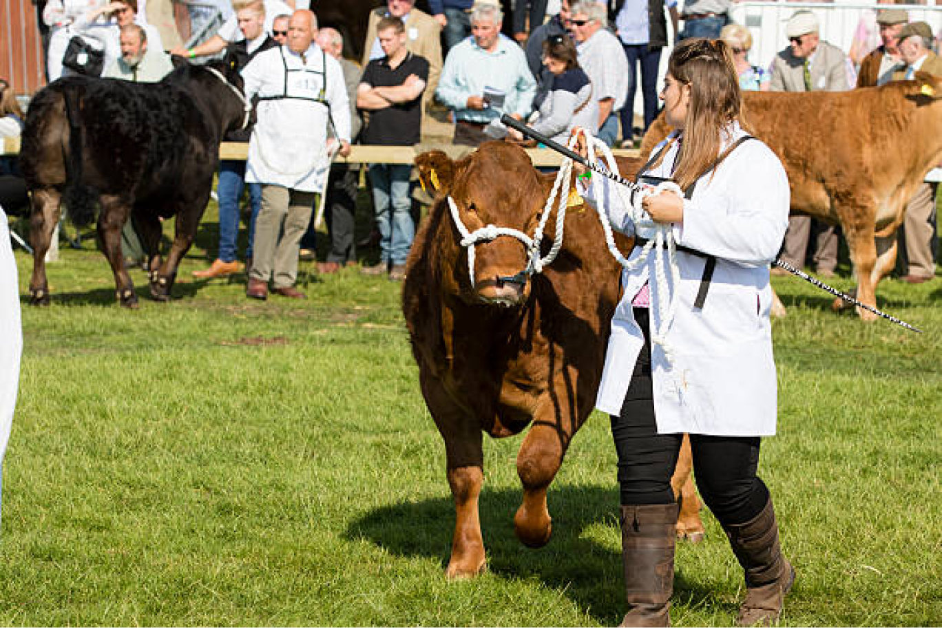 L’agriculture meusienne présente à la foire de Verdun