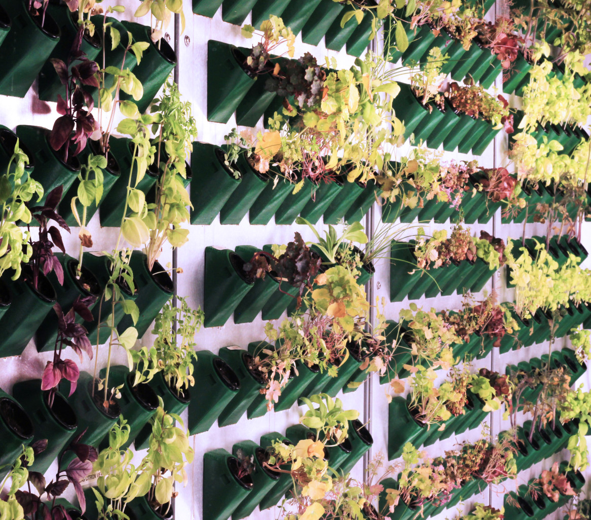 Des étagères complètes de Cubes d'herbes aromatiques. (© Farm3)