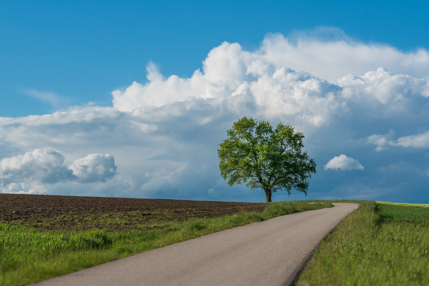 Habiter à la campagne engendre souvent des difficultés de mobilité. 