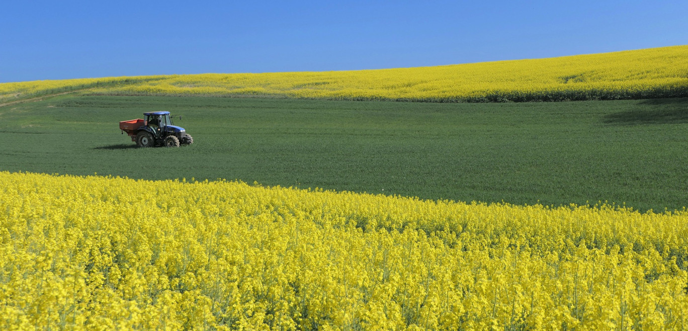 La politique agricole commune européenne vient en soutien à plus de 2 000 exploitants agricoles de Moselle. 