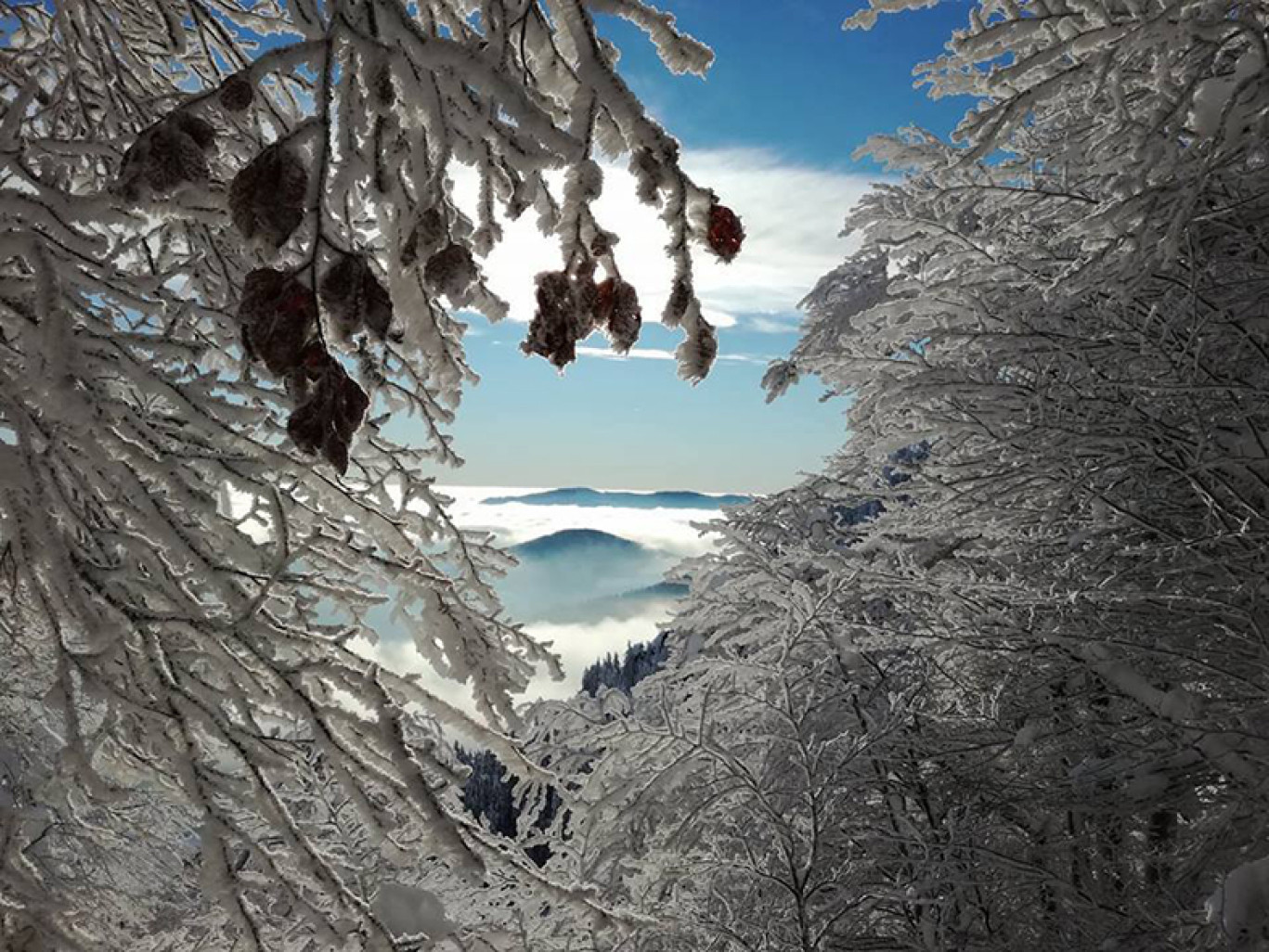 Météo des Vallées est désormais une association à but non lucratif