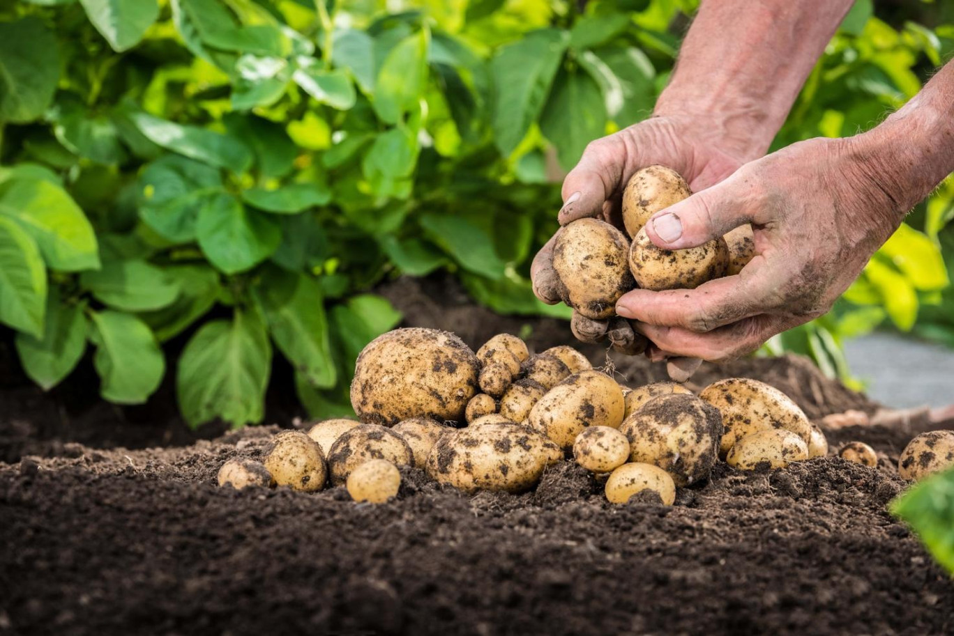 Desmazières poursuit sa stratégie RSE