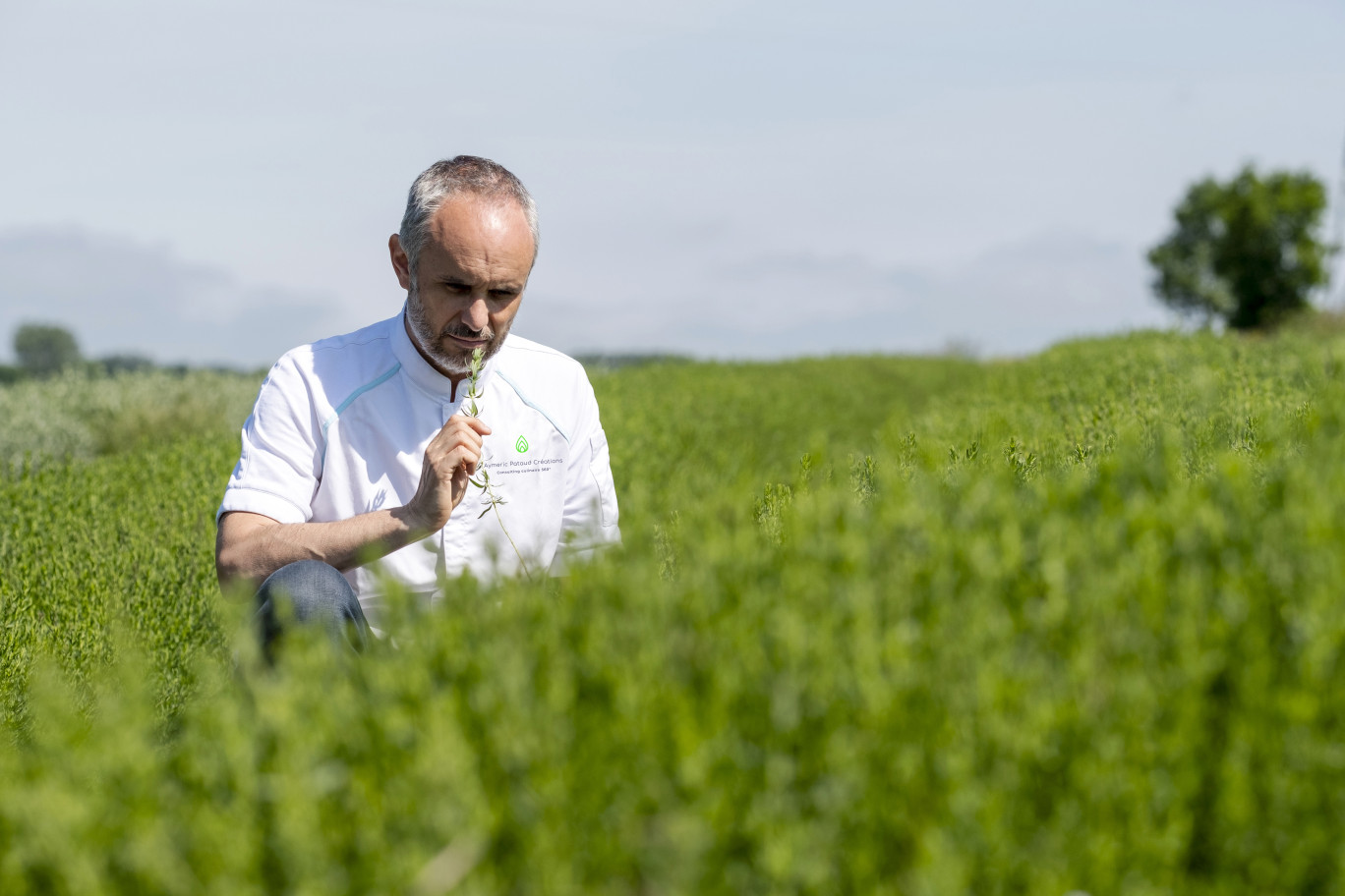 Aymeric Pataud est le premier chef à avoir écrit sur les huiles essentielles. ©Délice & Sens