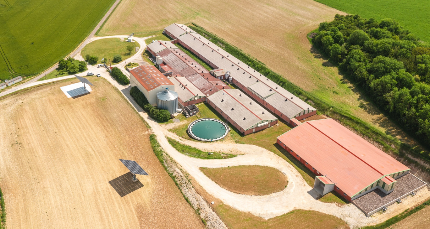 Crédit photo : L’EARL Multiporcs de l’Aire