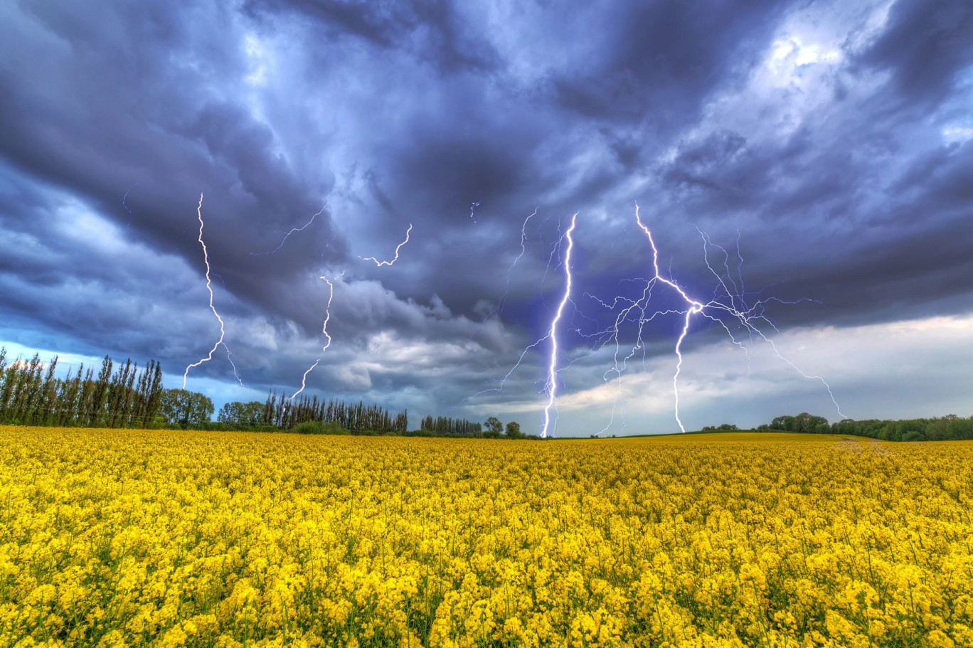 En matière agricole, le coût des sinistres climatiques ne fait qu’augmenter. © Patryk Kosmider