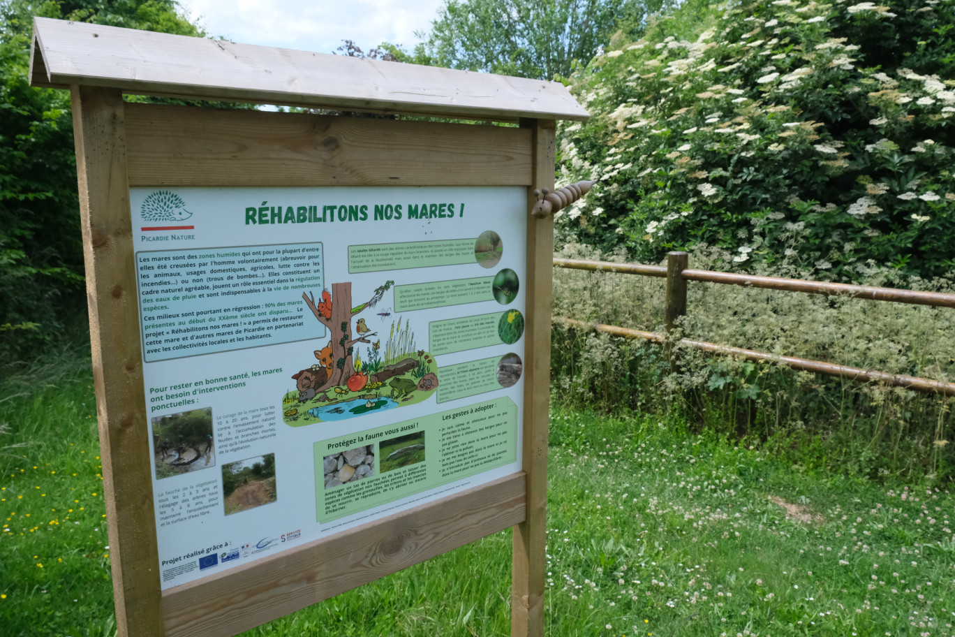 La mare de la commune a été retravaillée avec Picardie Nature, pour favoriser la biodiversité. Les canards, invasifs, ont disparu, laissant la place à de nouveaux oiseaux, des libellules notamment, mais aussi des grenouilles. ©Aletheia Press/ E. Castel