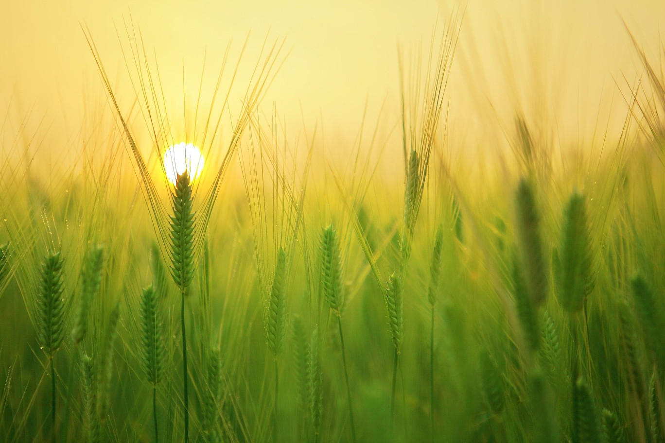 Journée agronomique «Fertilité des sols», le 10 mai à Euville