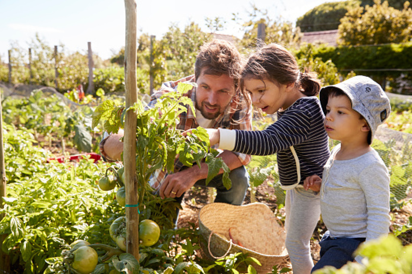 Éveiller les enfants aux choses de la nature.