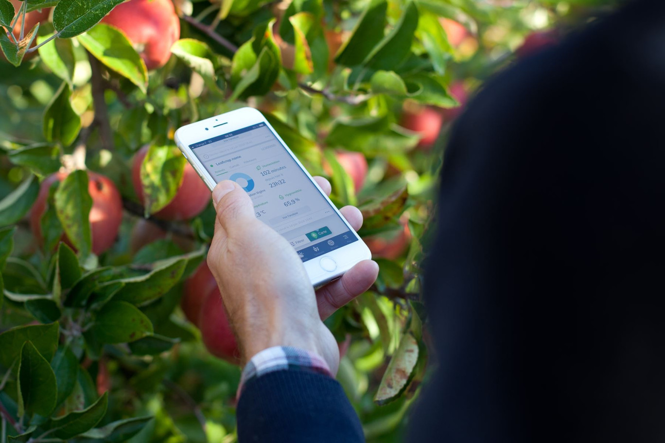 L'application permet à l'agriculteur d'avoir les relevés tous les quarts d'heure. © Sencrop.