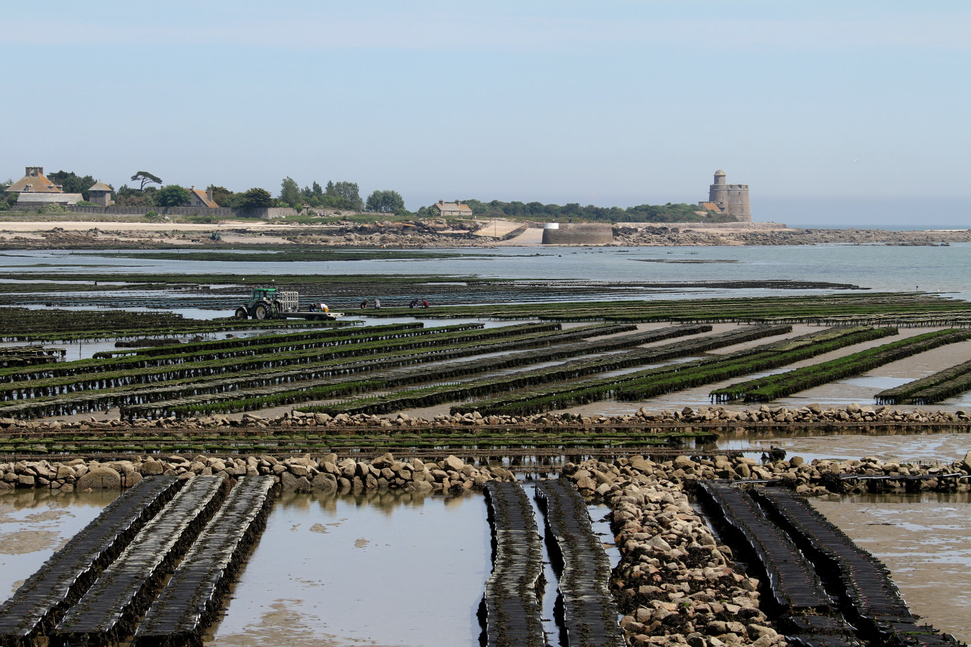 Parcs à huîtres à Saint-Vaast-la-Hougue. (Photo d'illustration Adobe Stock)