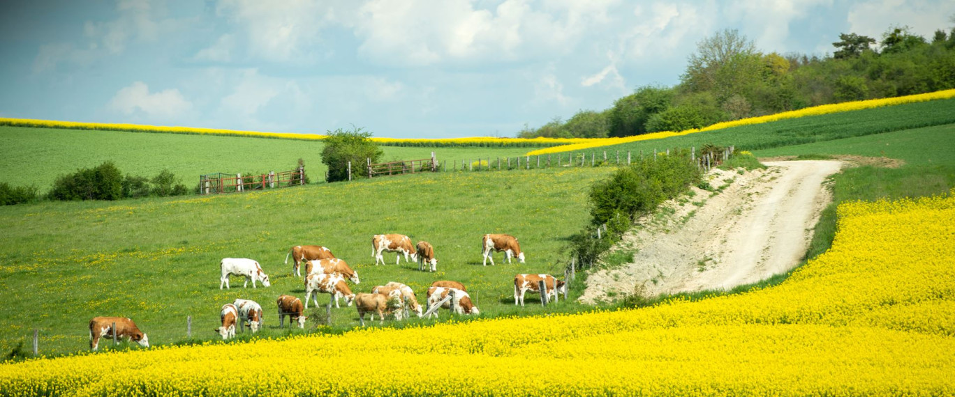 Avec un secteur agricole «en première ligne aujourd’hui», Christiane Lambert a notamment mis en avant la fragilité des exploitations et de la production alimentaire. © ifeelstock