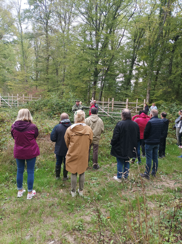 En forêt de Gandrange-Richemont. © : CCRM.