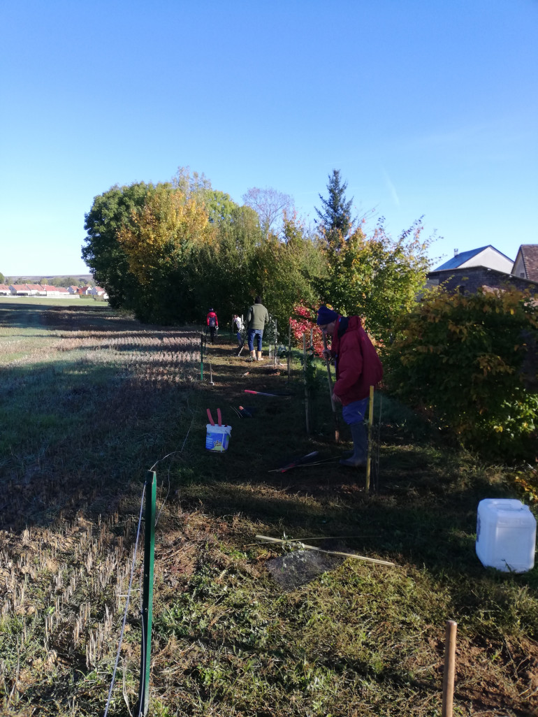 Les membres de l'association Raiponce ont planté une trentaine d'arbres. (c)DR