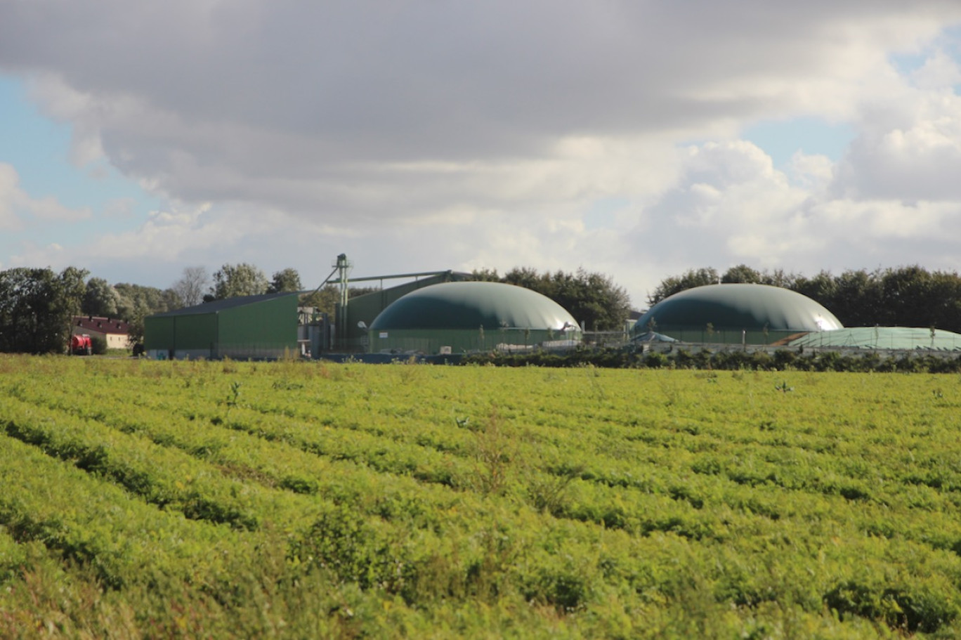 Enfouir le carbone dans le sol : un projet qui a du sens sur le plan agronomique et parfois aussi sur le plan économique. (© Aletheia Press / B.Delabre)