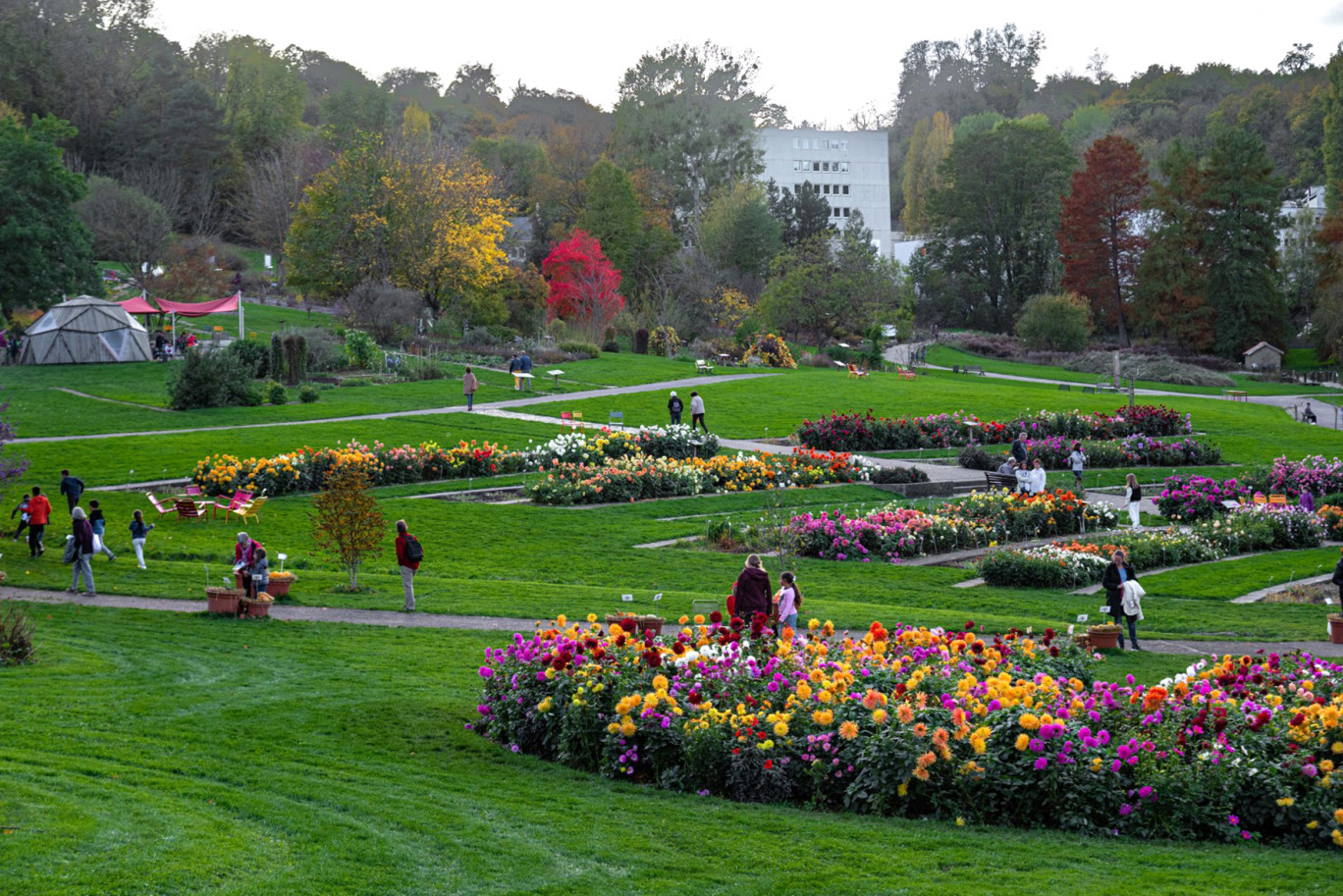 Avec 184 930 visiteurs l’an passé, le Jardin Botanique Jean-Marie Pelt arrive en tête des fréquentation des sites muséaux de la Métropole du Grand Nancy (c) :Métropole du Grand Nancy