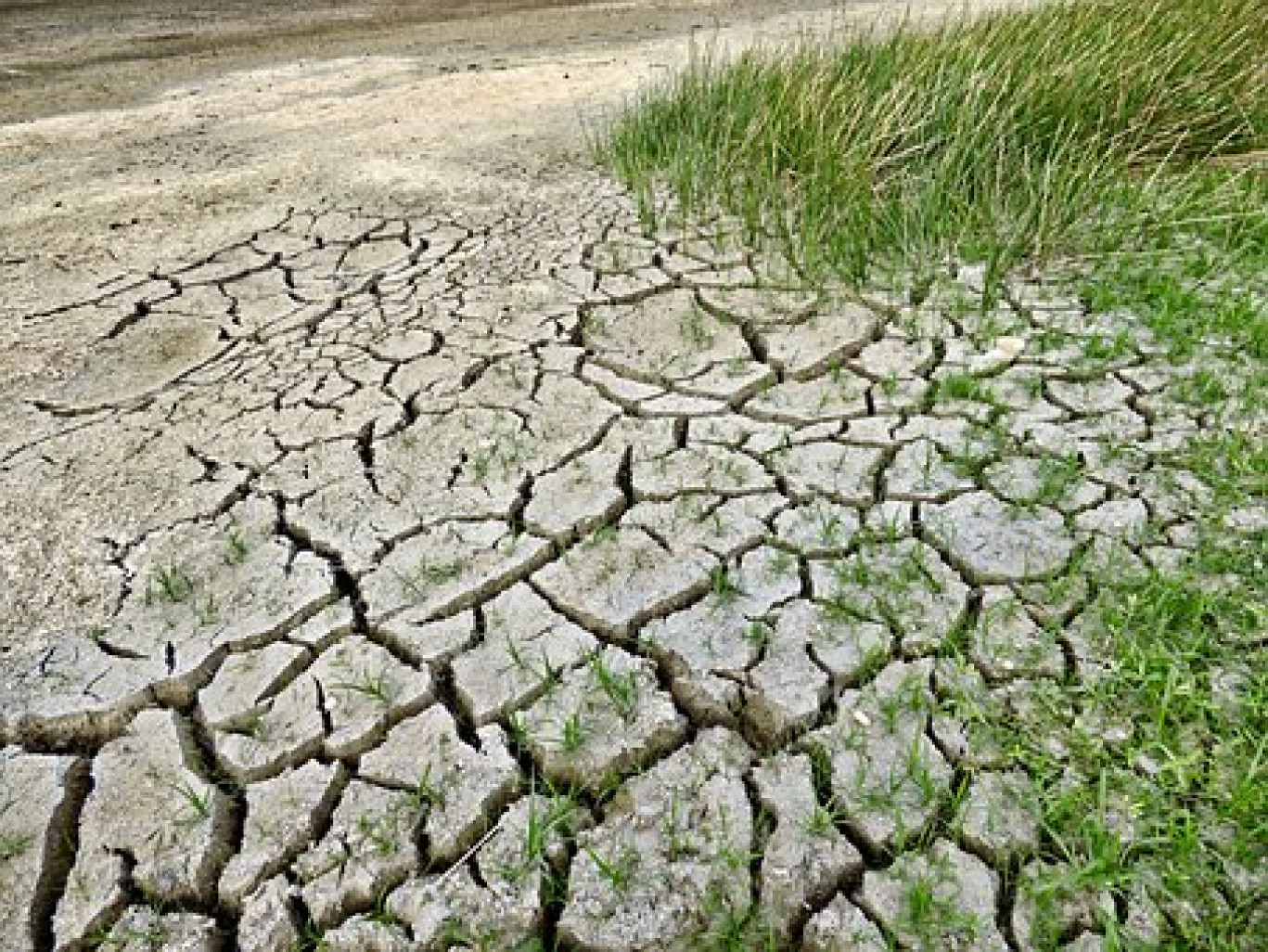 A Metz, Gescod organise un séminaire autour du changement climatique