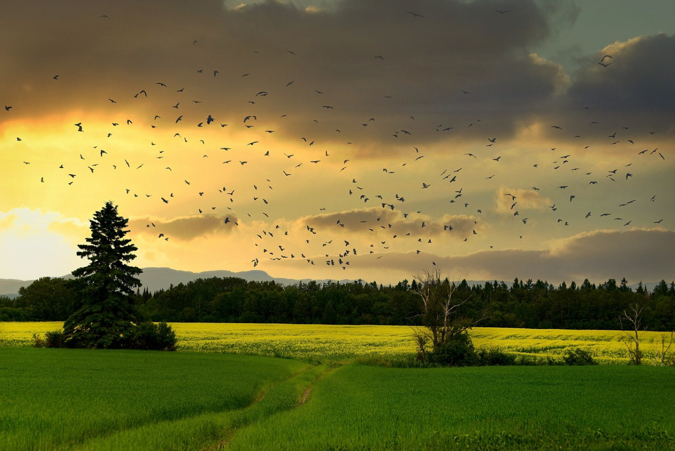 La Chambre d’Agriculture de la Meuse organise une conférence sur la biodiversité