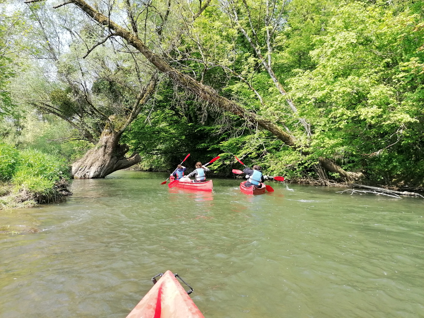 Du 1er avril au 15 octobre, près de 4 000 à 4 500 personnes choisissent de faire du canoë kayak chez Canoë Kayak Évasion. ©Canoë Kayak Évasion