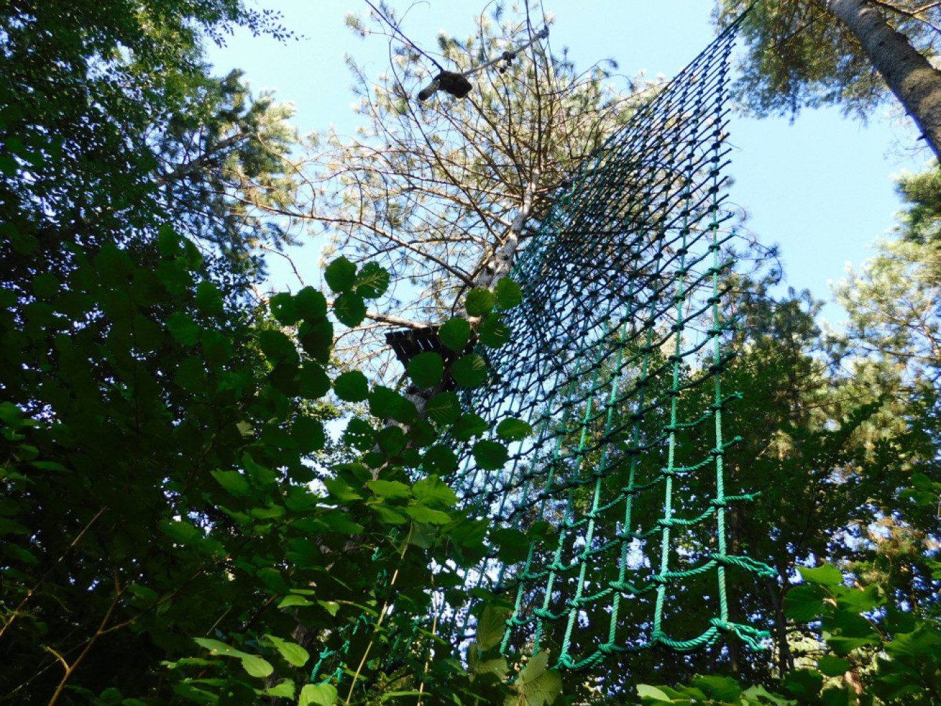 Pour profiter une après-midi du parc d’accrobranche, il est conseillé d’appeler pour connaître les disponibilités. ©Parc Canopée