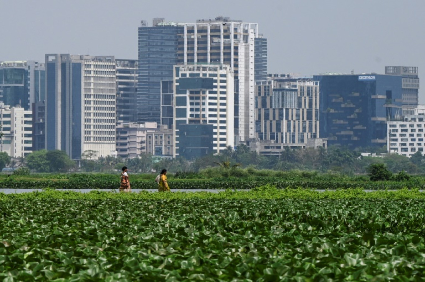 Les zones humides à l'est de Calcutta, le 21 mars 2023 en Inde © DIBYANGSHU SARKAR