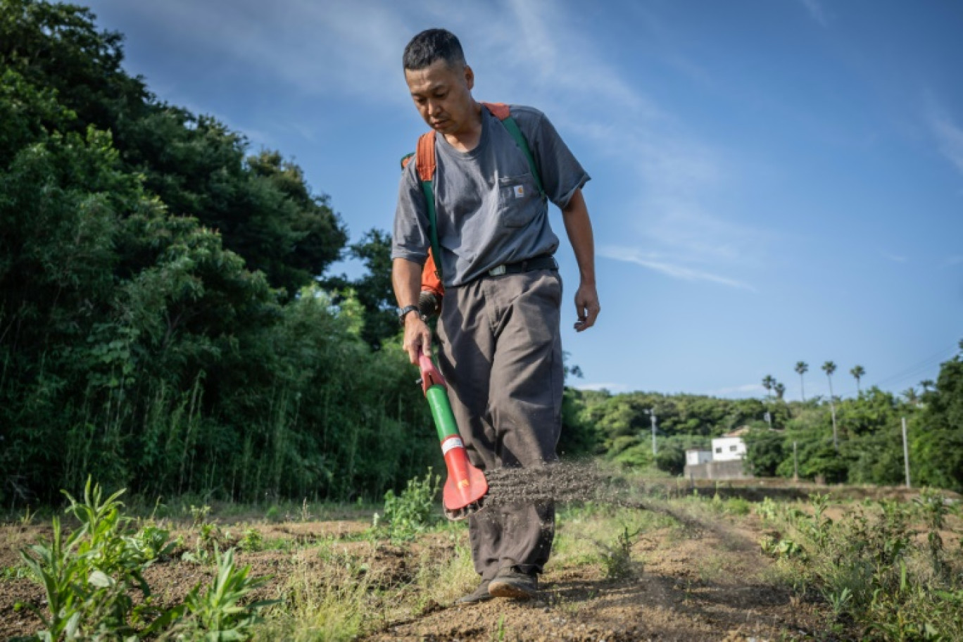 Nobuyushi Fujiwara, un exploitant agricole, épand de l'engrais confectionné à l'aide d'excréments humains dans sa ferme de Yokosuka, près de Tokyo, le 13 juin 2023 © Yuichi YAMAZAKI