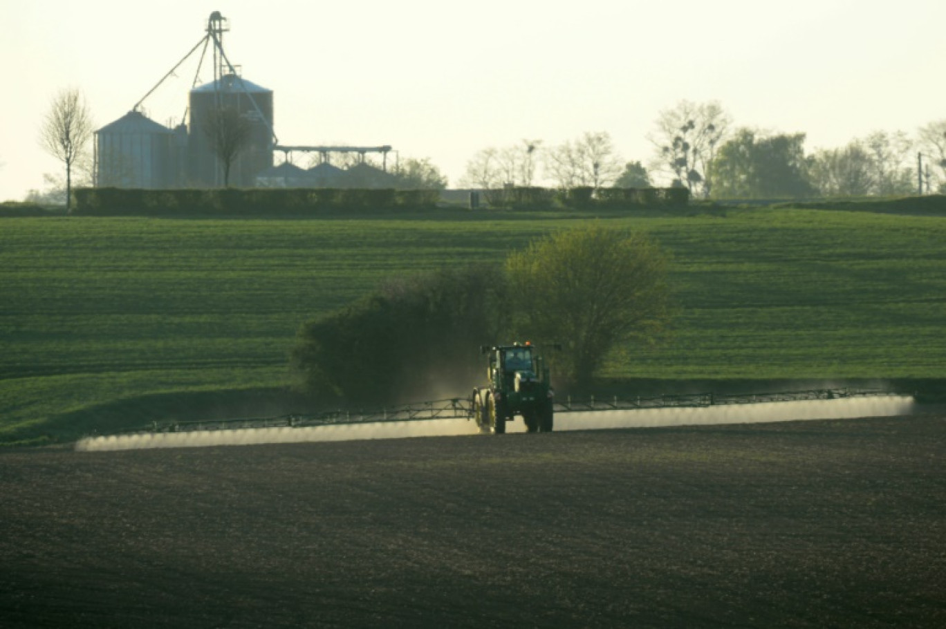 En vue d'une possible réautorisation du glyphosate sur le continent, l'Autorité européenne de sécurité des aliments (EFSA) rendra jeudi un nouvel avis scientifique © JEAN-FRANCOIS MONIER