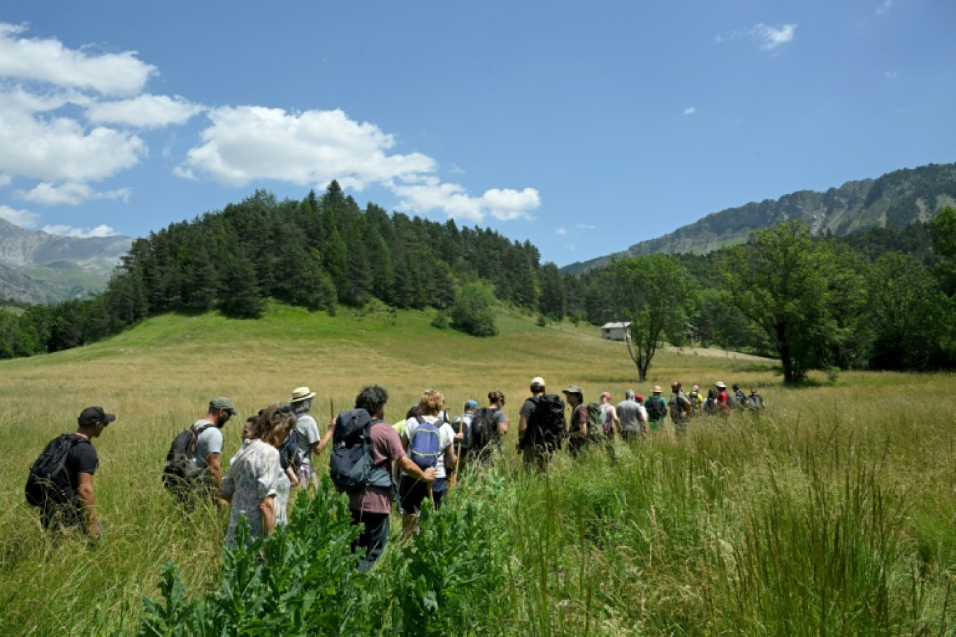 Des bénévoles participent à l'opération de recherche d'Emile, deux ans et demi, porté disparu depuis deux jours, le 10 juillet 2023 au Vernet, dans les Alpes-de-Haute-Provence © NICOLAS TUCAT