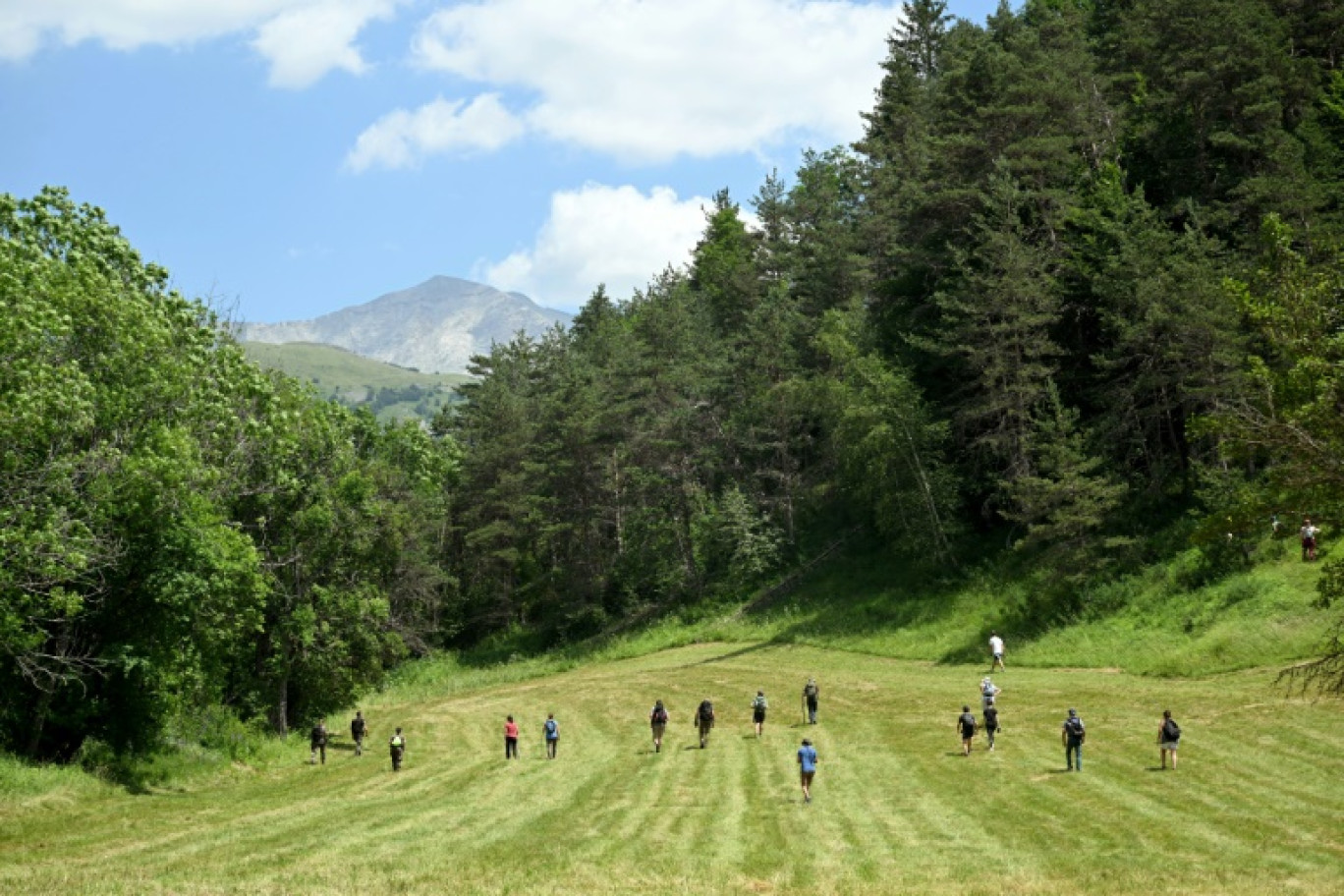 Des bénévoles participent aux recherches d'Emile, deux ans et demi, disparu depuis deux jours, le 10 juillet 2023 au Vernet, dans les Alpes-de-Haute-Provence © NICOLAS TUCAT