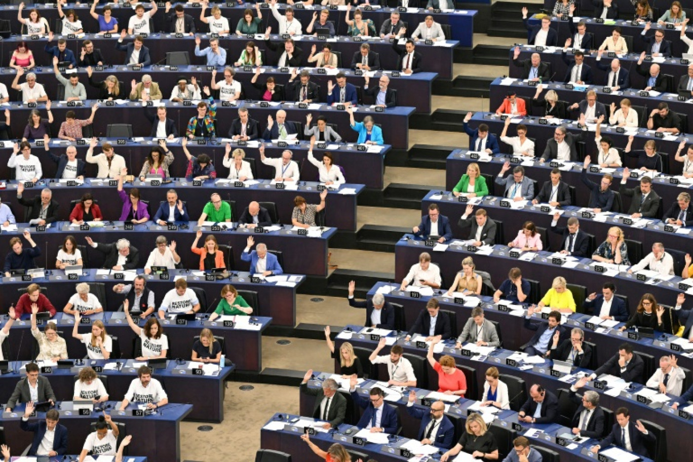 Les membres du Parlement européen votent sur un projet de loi de restauration des écosystèmes, le 12 juillet 2023 à Strasbourg © FREDERICK FLORIN