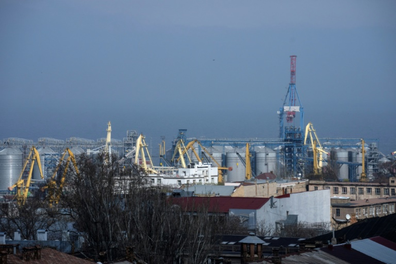 Le terminal céréalier du port d'Odessa, le 10 avril 2023 en Ukraine © Bo Amstrup