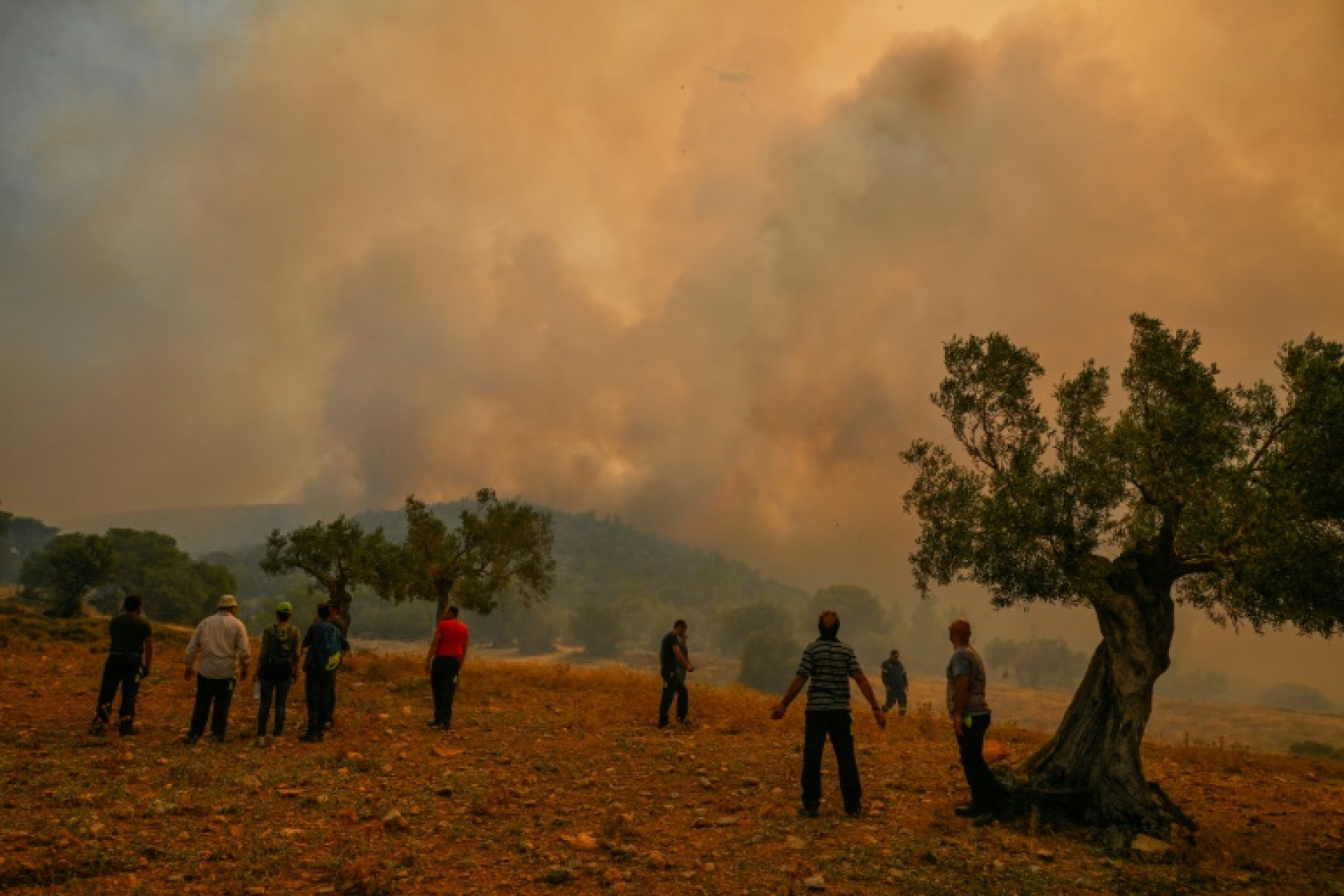 Des habitants observent un feu de forêt à Néa Peramos, près d'Athènes, le 19 juillet 2023 en Grèce © Louisa GOULIAMAKI