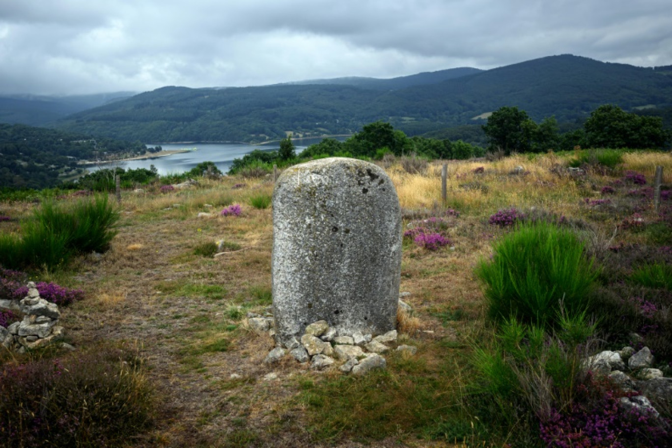 Une statue-menhir, le 24 juillet 2023 à Nages, dans le Tarn © Lionel BONAVENTURE