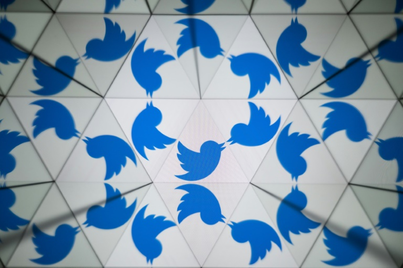 Le logo de Twitter pris en photo à Mulhouse, dans l'est de la France, le 30 mai 2023 © SEBASTIEN BOZON