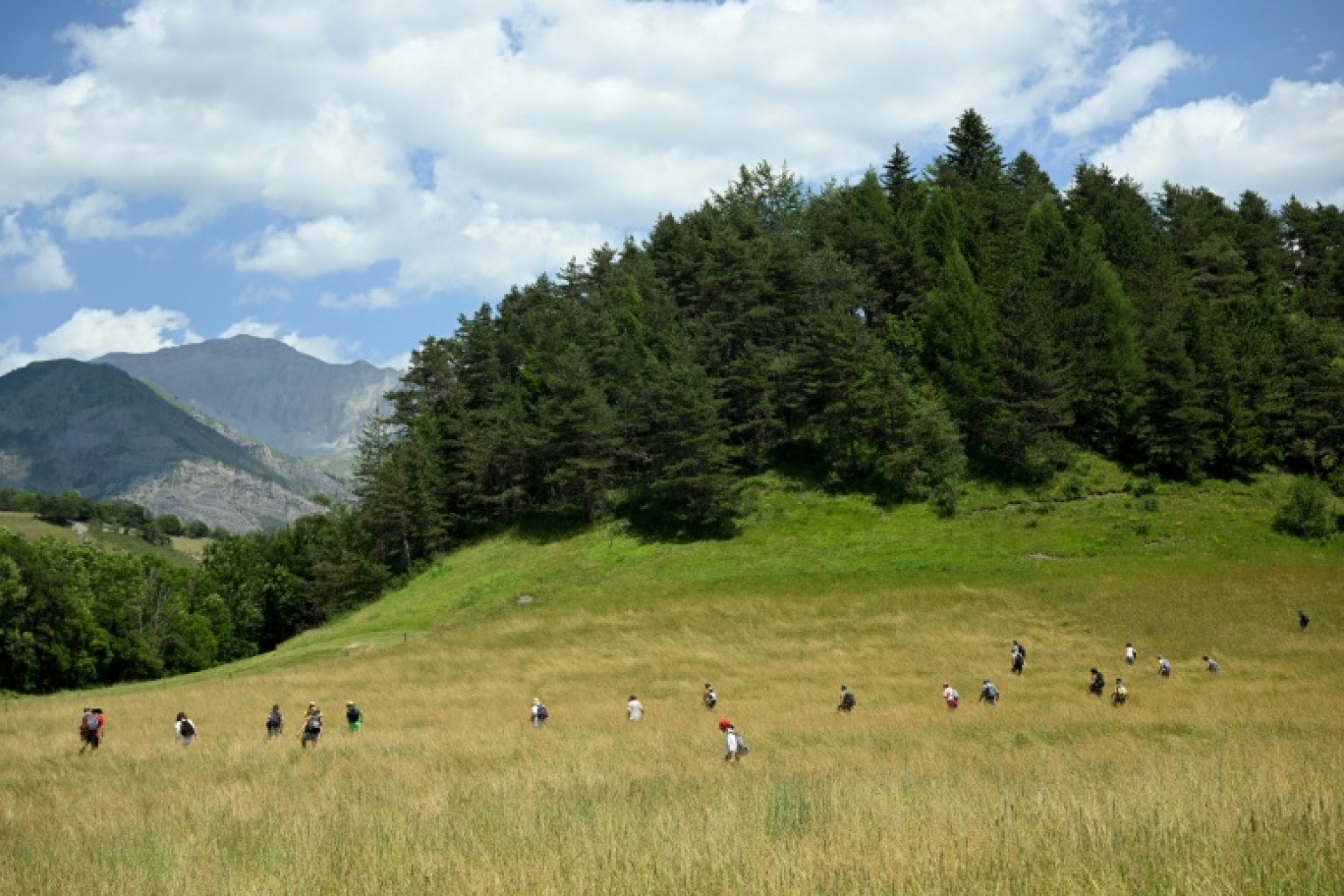 Opérations de recherche du petit Emile au Vernet, le 10 juillet 2023 dans les Alpes-de-Haute-Provence © NICOLAS TUCAT