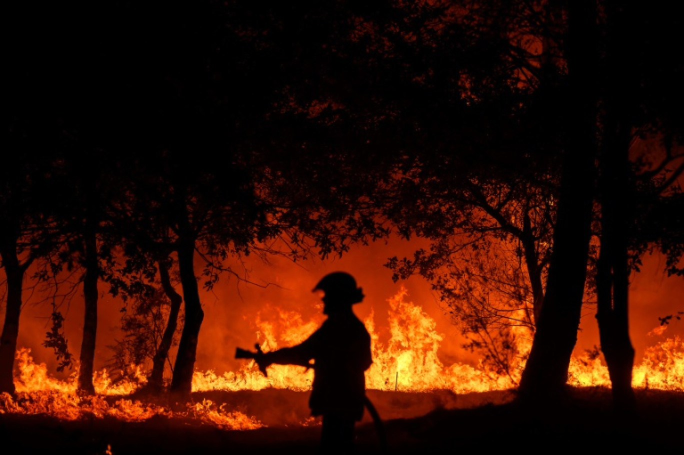 Les pompiers luttaient dans la nuit de mardi à mercredi contre un incendie virulent attisé par des rafales de vent menaçant trois villages en Haute-Corse © PHILIPPE LOPEZ