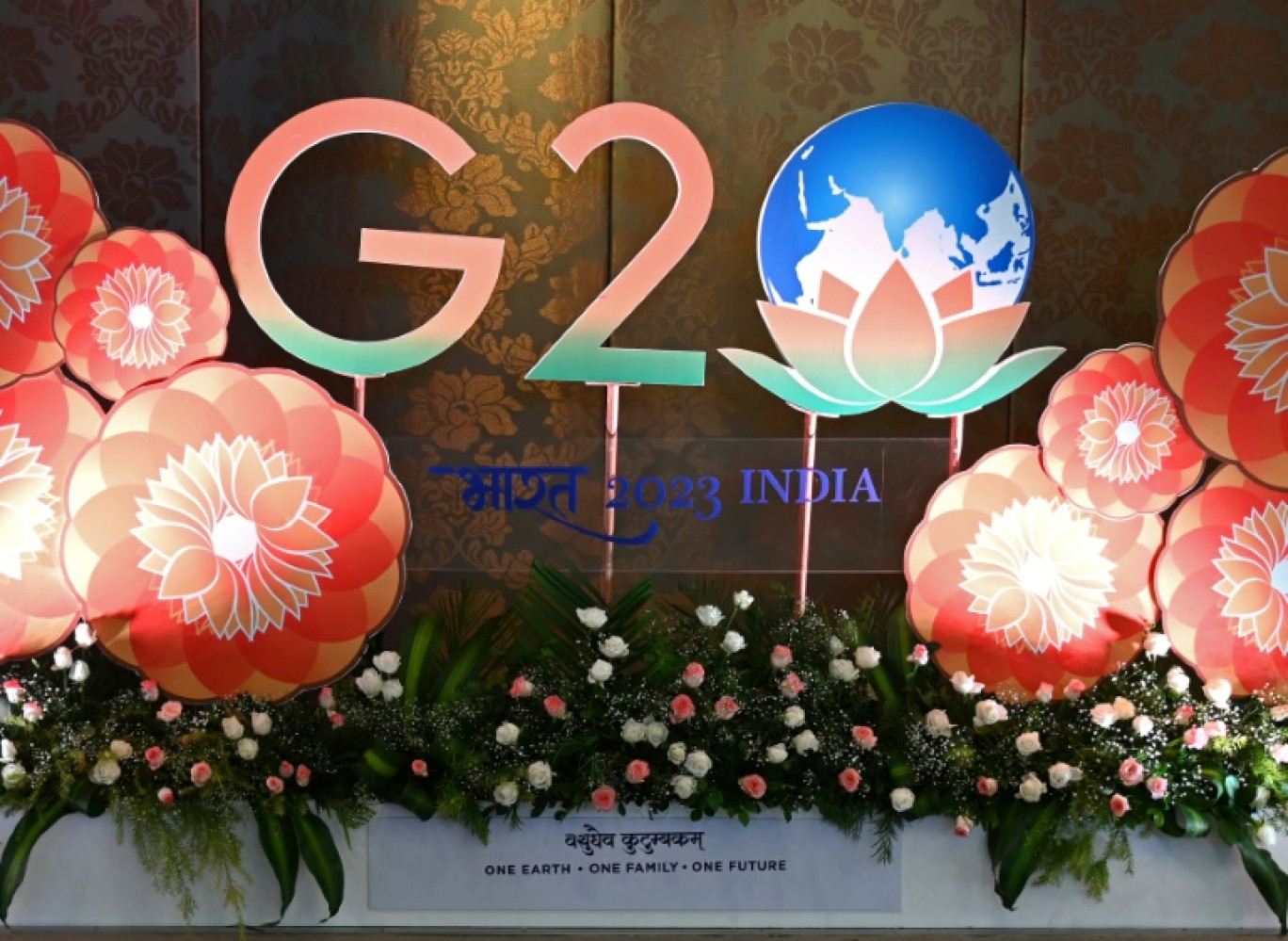 le G20 Environnement, le 27 juillet 2023 à Madras, en Inde © R.Satish BABU