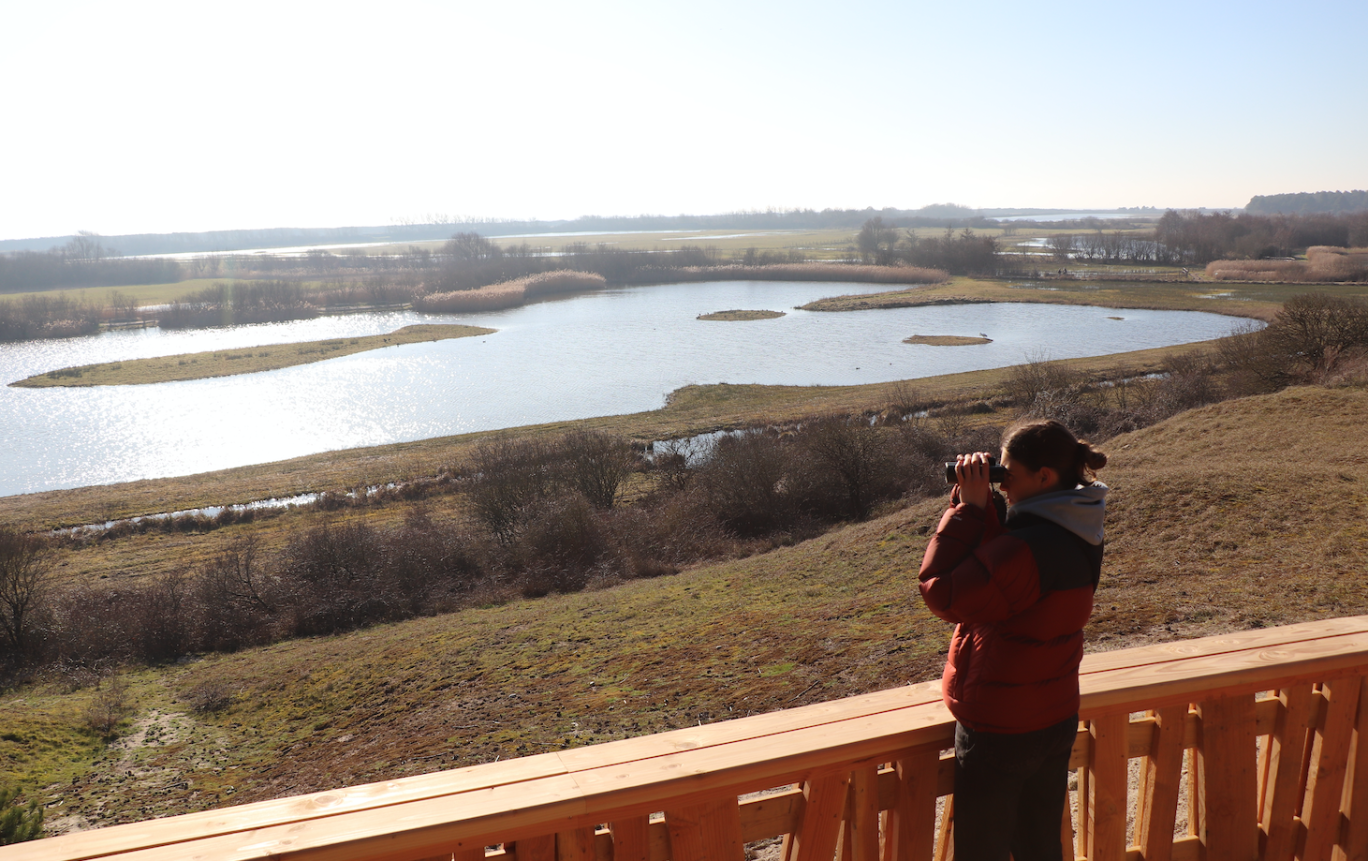  Le parc ornithologique du Marqueterre séduit de plus en plus. 